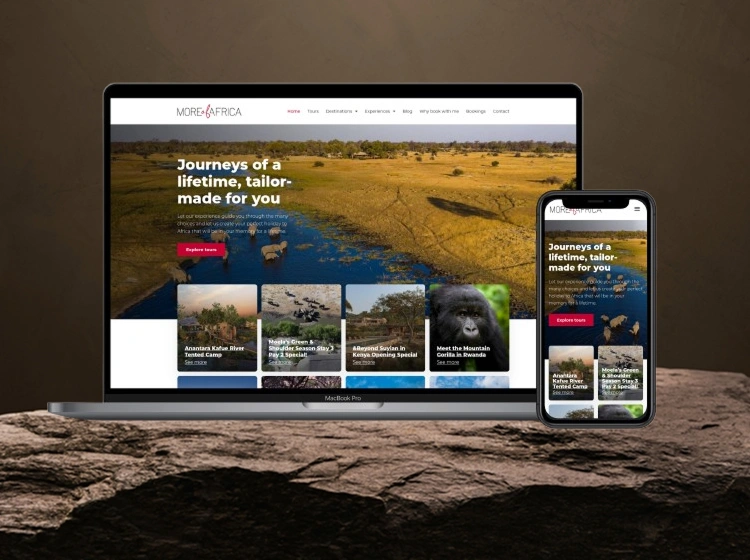 Portfolio 14 1 2 1 1